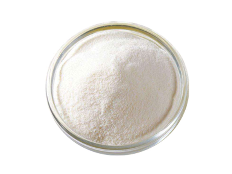 Stachyose-Pulver 1 Stachyose-Pulver